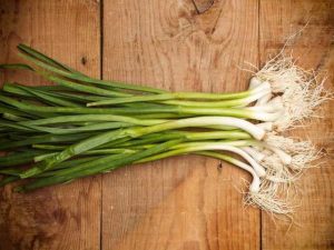 alls tendres ajos tiernos