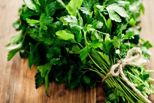 El julivert, una bomba de vitamines que has de consumir tant com puguis