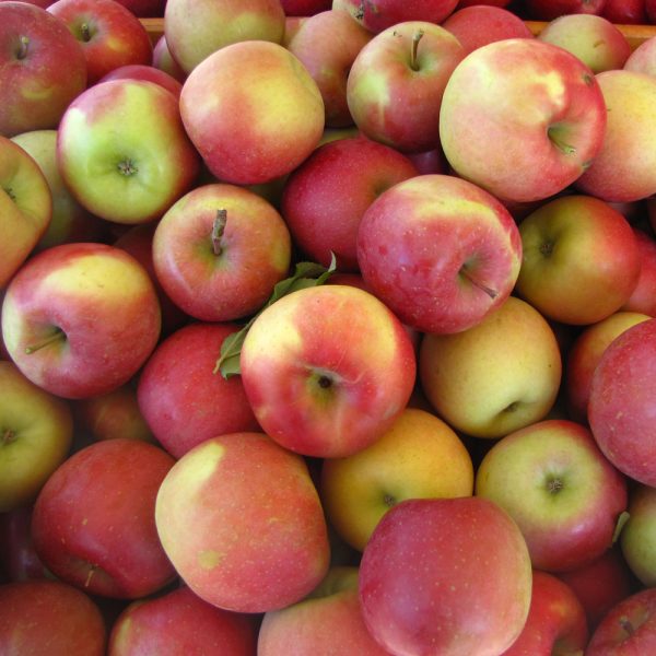 MANZANA-FUJI-