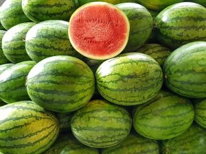 Síndria Fashion sandia