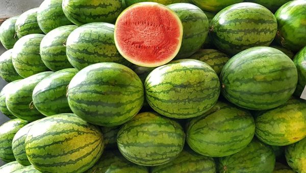 Síndria Fashion sandia