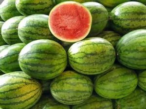 Síndria Fashion sandia