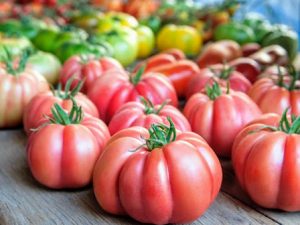 Tomate de Barbastro