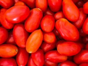 Tomàquets madurs pera