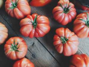 Tomate monterosa