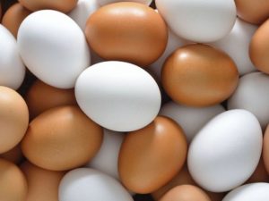ous normals huevos ecologicos