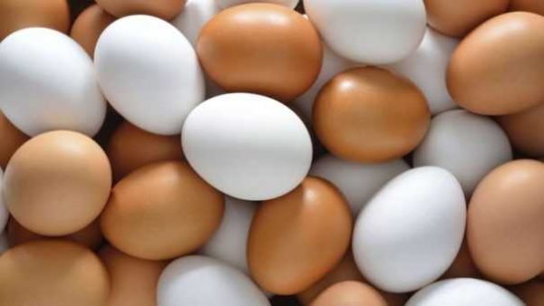 ous normals huevos ecologicos