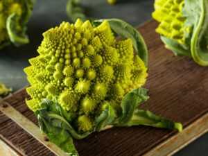 Romanesco